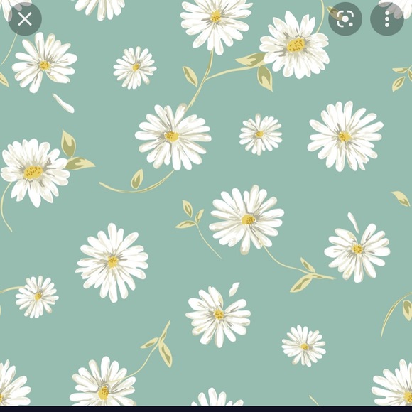 Meet your Posher, Mackenzie - Picture 1 of 1